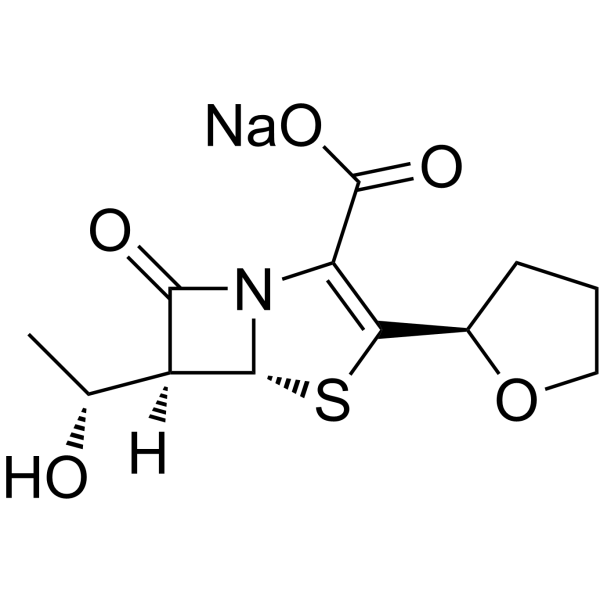 Faropenem sodium 122547-49-3